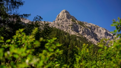 白天蓝天下灰山附近的绿树